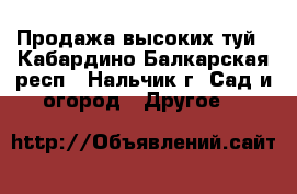 Продажа высоких туй - Кабардино-Балкарская респ., Нальчик г. Сад и огород » Другое   